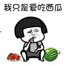 娱乐圈有什么瓜可以吃,揭秘明星幕后故事与精彩瞬间