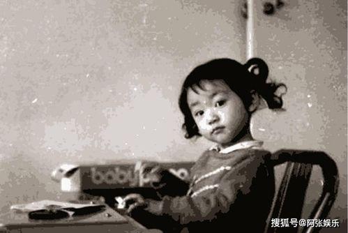 娱乐圈的老年吃瓜,老年吃瓜群众的热议焦点